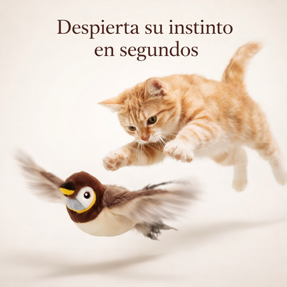 PurrBird - Para que sea feliz cuando no estés